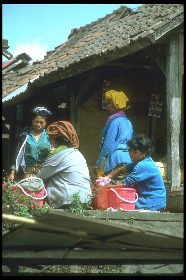 083049 Women At Market, Kintamani A4 Photo Print
