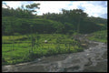 083077 Terraced Landscape, Klungkung A4 Photo Print