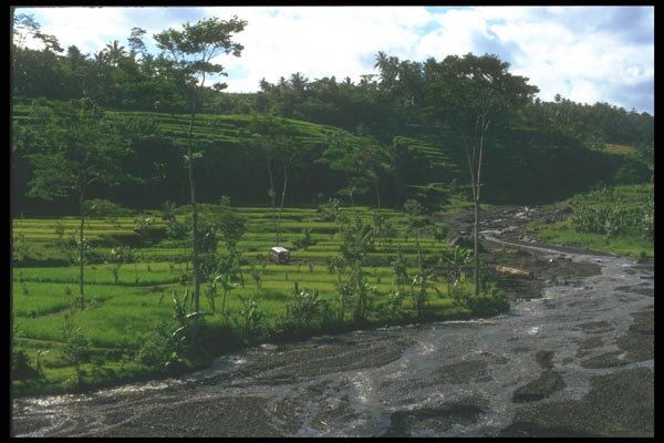 083077 Terraced Landscape, Klungkung A4 Photo Print