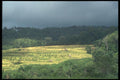 083080 Landscape, Northern Bali A4 Photo Print