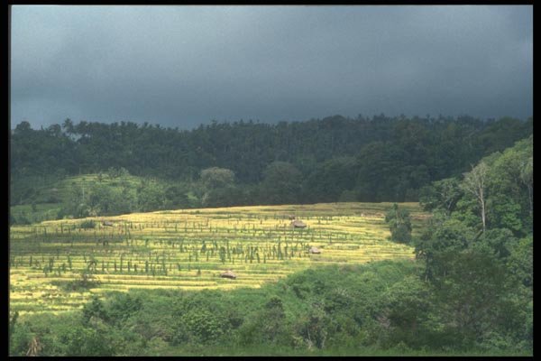 083080 Landscape, Northern Bali A4 Photo Print