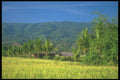 083081 Village Huts Near Singaraja A4 Photo Print