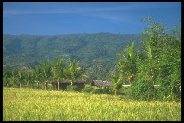 083081 Village Huts Near Singaraja A4 Photo Print
