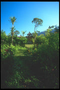 083095 Small Forest Temple In The Early Morning Light, Bedugal A4 Photo Print