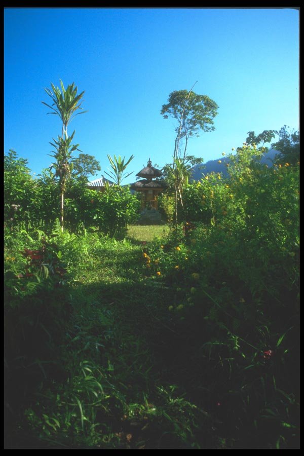 083095 Small Forest Temple In The Early Morning Light, Bedugal A4 Photo Print