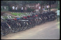 085006 Bicycle Rack Beijing A4 Photo Print