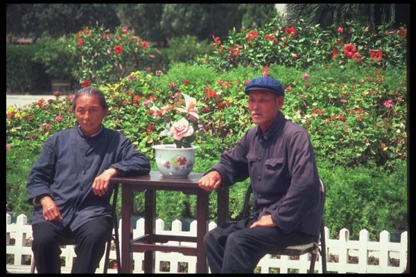 085015 Couple With Flowerpot Beijing A4 Photo Print