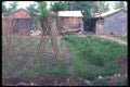 085016 Vegetable Garden Beijing A4 Photo Print