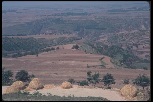 085049 Haystacks, Guanzhong Plain A4 Photo Print