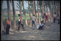 085060 Work Crew, Country Road, Sian A4 Photo Print