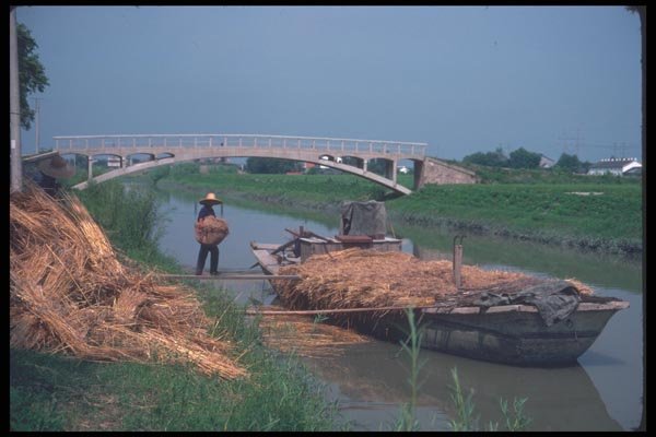 085064 Barge Loaded With Hay, Near Shanghai A4 Photo Print