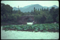 085077 Lotus, West Lake, Hang Chow A4 Photo Print