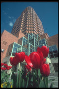 086000 Portland, Koin Center A4 Photo Print