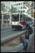 086003 Portland, Sidewalk Sculptures On Yamhill Street A4 Photo Print