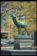 086006 Portland, Lownsdale Square, The Elk Statue A4 Photo Print