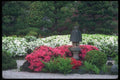 086012 Portland, The Japanese Gardens A4 Photo Print