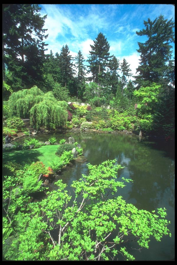086017 Portland, The Japanese Gardens A4 Photo Print