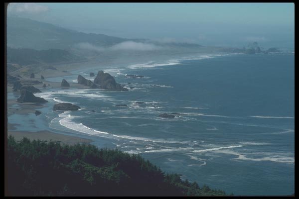 086028 Cape Sebastian State Park A4 Photo Print