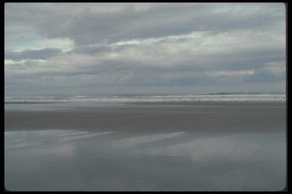 086033 Nye Beach A4 Photo Print