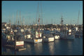 086044 Brookings Harbor A4 Photo Print