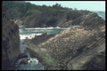086051 Shore Acres State Park A4 Photo Print