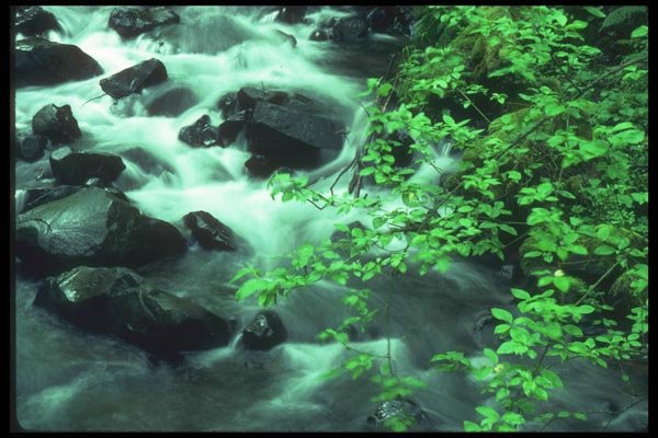 086060 Mt. Hood National Forest, Bridal Veil Falls Creek A4 Photo Print