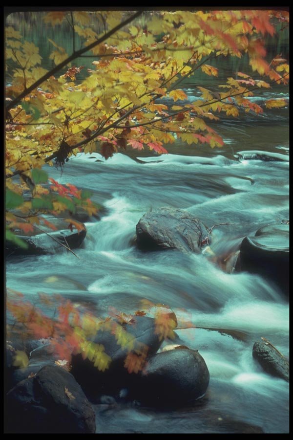 086061 Douglas County, Smiths River A4 Photo Print
