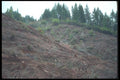 086063 Douglas County, Hills After Logging Clearcut A4 Photo Print