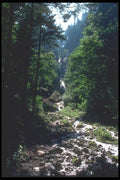 086069 Columbia River Gorge, Wahkeena Falls A4 Photo Print