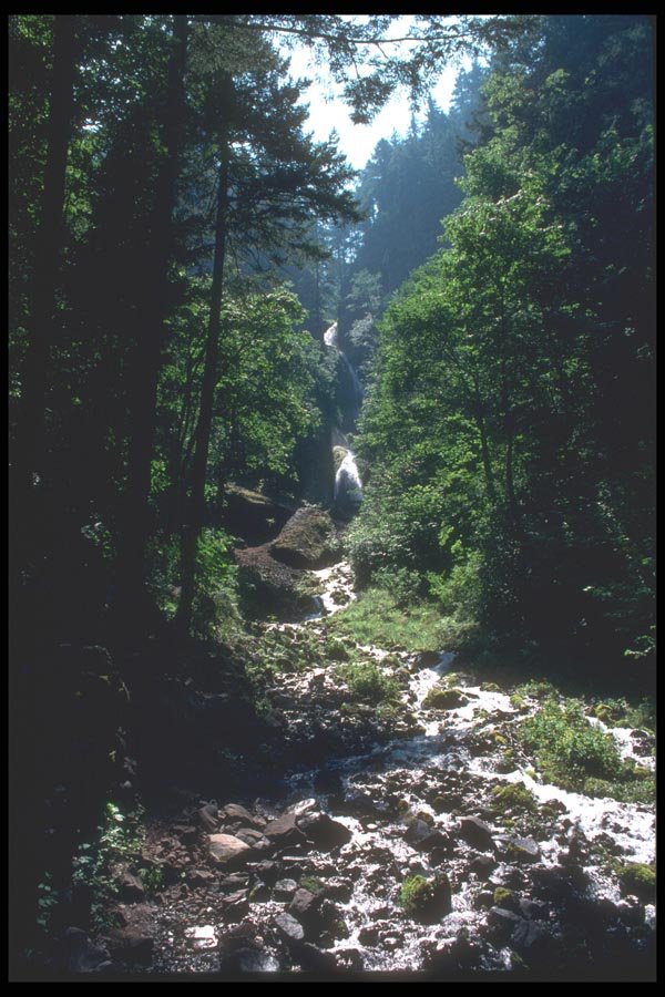 086069 Columbia River Gorge, Wahkeena Falls A4 Photo Print