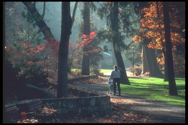 086095 Ashland, Lithia Park A4 Photo Print