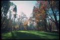 086096 Ashland, Lithia Park A4 Photo Print
