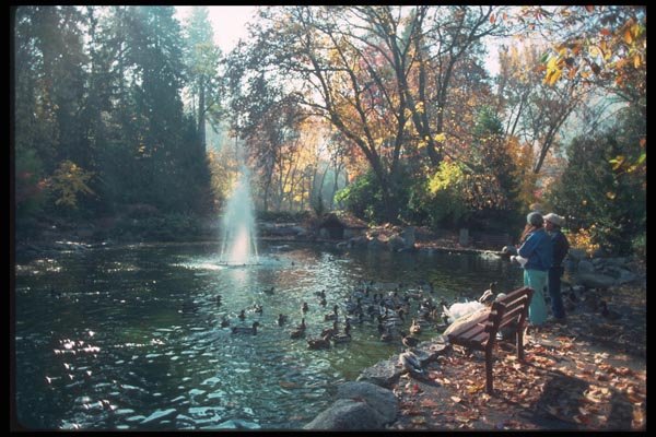 086097 Ashland, Lithia Park A4 Photo Print