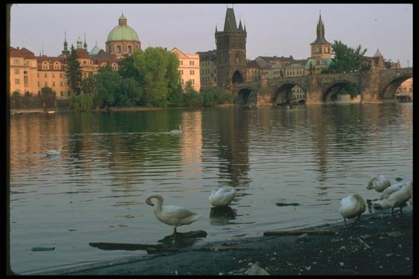 088024 Prague, Vltava River, Old Town A4 Photo Print