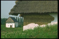 088099 Moravia, The Koblizna. Ethnographic Museum A4 Photo Print