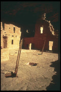 089009 Two Ladders A4 Photo Print