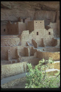 089035 Cliff Palace Scene With Tree A4 Photo Print