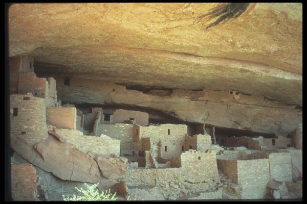 089039 Close Up View Under Ledge A4 Photo Print