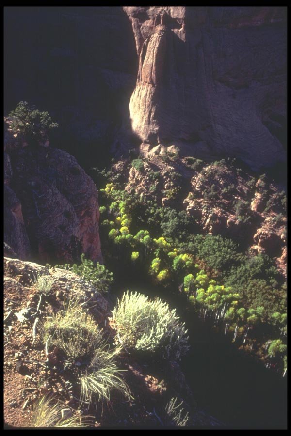 089050 Betatakin Canyon View A4 Photo Print