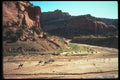 089062 Horseback Visitors A4 Photo Print