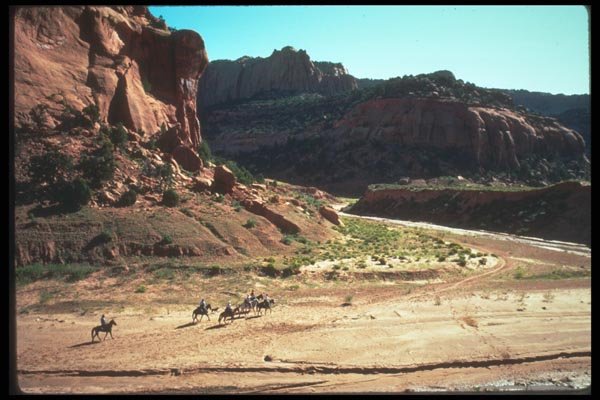 089062 Horseback Visitors A4 Photo Print