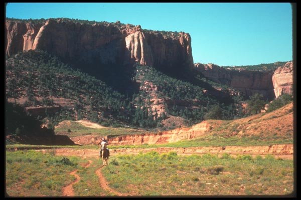 089063 Rancher On Horseback A4 Photo Print