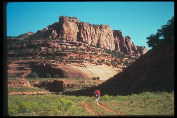 089064 Backpacker Floor Trail A4 Photo Print