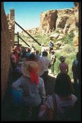 089089 Tour Group In Shade A4 Photo Print