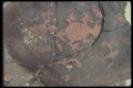 089091 Petroglyphs On Rock A4 Photo Print