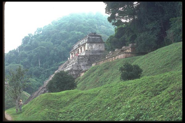 090033 Hillside Palenque, Mayan Ruins A4 Photo Print