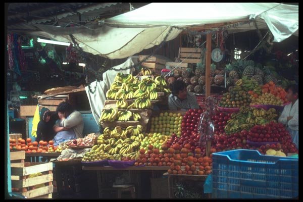 090049 Fruit Stall, Oaxaca, Mexico A4 Photo Print