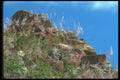 090061 Rocks With Red Flowers Montealban, Zapotec Ruins A4 Photo Print