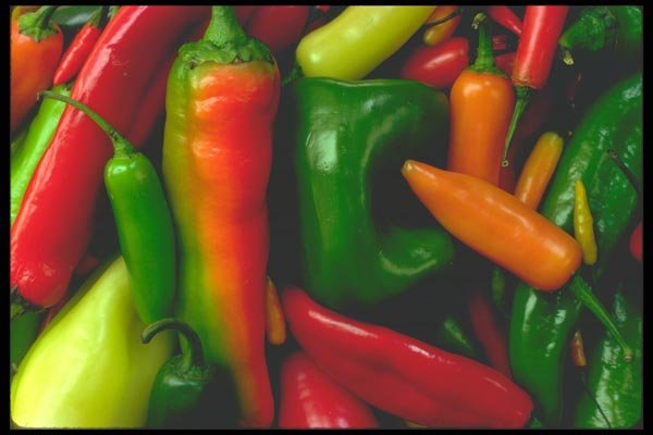 091003 Chiles A4 Photo Print