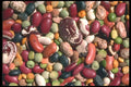 091005 Dried Legumes (Beans And Peas) A4 Photo Print